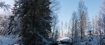 POI Weismes - Le pont Anna Marie Libert - Photo