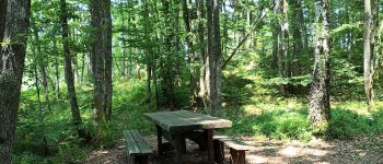 Point d'intérêt Servance-Miellin - table pique nique - Photo