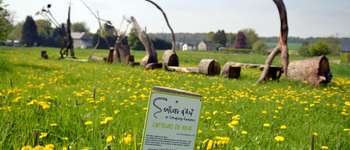 POI Ohey - Unnamed POI - Photo