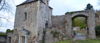 Point d'intérêt Orée-d'Anjou - Manoir natal du poète Joachym Du Bellay (ruines) - Photo