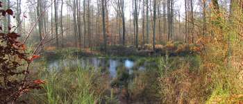 Point d'intérêt Saint-Jean-aux-Bois - Point 17 - Photo