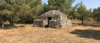 POI Conques-sur-Orbiel - Capitelle 15 (Les cagarotes) - Photo