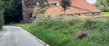 Punto di interesse Villers-le-Bouillet - La sorcière de Vieux-Waleffe - Photo