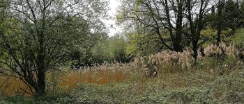 Point d'intérêt Blegny - Etang dans le terrain derrière la caserne - Photo