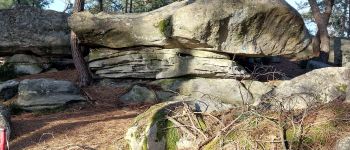 Point d'intérêt Fontainebleau - 3D Roche Celeste - Photo