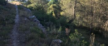 Point of interest Conques-sur-Orbiel - Creux - Photo