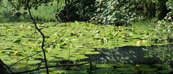 POI Auderghem - Oudergem - Vue ouest vers le plus petit des Étangs Clabots - Photo