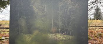 POI Sapois - Les Jardins de Bernadette - Photo