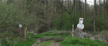 Punto di interesse Braine-Le-Comte - IMG_20210411_154642 - Photo