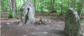 POI Senlis - les menhirs d'Indrolles - Photo