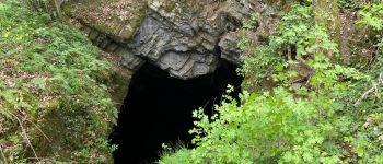 Point d'intérêt Marche-en-Famenne - Gouffre Trotti des fosses - Photo