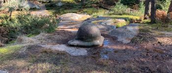 Punto de interés Fontainebleau - Casquette de jockey - Photo