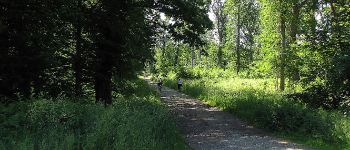 Point d'intérêt Saint-Léger-aux-Bois - Point 27 - Photo