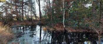 Point d'intérêt Fontainebleau - Mare aux Ligueurs  - Photo