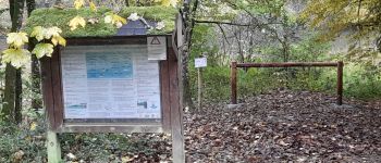 Point d'intérêt La Roche-en-Ardenne - Halte équestre - Photo