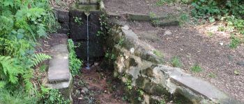 Point d'intérêt Lutzelbourg - Fontaine Mélusine  - Photo