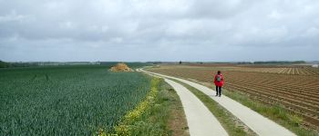 Point d'intérêt Genappe - Vue nord dans le Chemin de la Longresse Haye - Photo