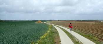 POI Genappe - Vue nord dans le Chemin de la Longresse Haye - Photo