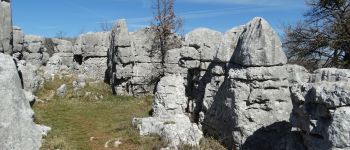 Point d'intérêt Courmes - Les Sembres Brunnes - Photo