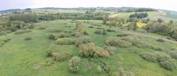 Point d'intérêt Musson - Marais de la Cussignière - Photo