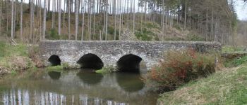 Punto de interés Paliseul - Pont Marie-Thérèse - Photo