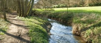 Point d'intérêt Villers-la-Ville - Rives de la Thyle - Photo