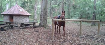 POI Romansweiler - Halte équestre des 3 forestiers - Photo