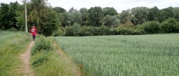 Punto de interés Genappe - Vue nord-ouest Chemin de Loncée - GRP 127 - Photo