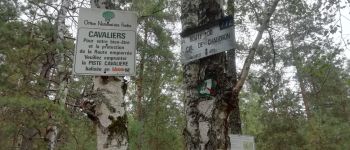 Point d'intérêt Fontainebleau - Piste cavalière - Photo