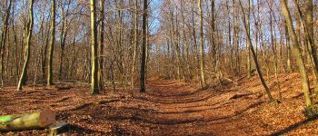 Punto de interés Saint-Jean-aux-Bois - Point 15 - Photo