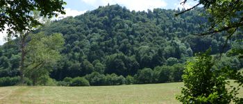 POI La Bourboule - VUE SUR CHARLANNES - Photo