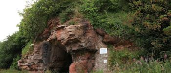 Point d'intérêt  - Wemyss Caves - Photo