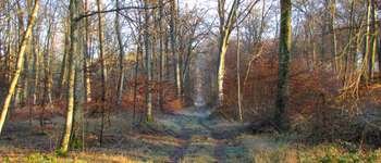 Point d'intérêt Saint-Jean-aux-Bois - Point 10 - Photo