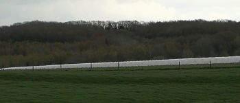 Point d'intérêt Braine-le-Comte - Vue vers le Grand Bois et les serres de la ferme de Joli Bois - Photo