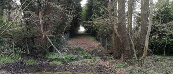 Point d'intérêt Braine-le-Comte - Accès du Grand Bois vers Ferme de Joli Bois - Photo