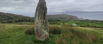 POI West Cork - Ogham stone - Photo