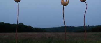 Point d'intérêt Somme-Leuze - Sentiers d'art - Bourgeons - Photo