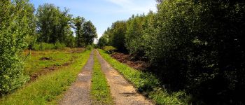 Point d'intérêt Saint-Léger-aux-Bois - Point 22 - Photo