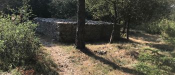 Point d'intérêt Conques-sur-Orbiel - Capitelle 13 (garenne de gauby) - Photo