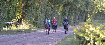 Punto de interés Coye-la-Forêt - Entrainement des chevaux au galop - Photo