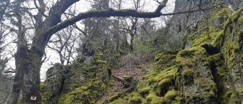 Point of interest Urmatt - Montpellier-Le-Vieux en Urmatt - Photo