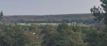 POI Fontainebleau - belvédère Jeanne d'Arc - Photo