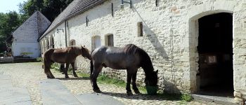 Point d'intérêt Auderghem - Écuries du site de la ferme du Rouge Cloître - Photo