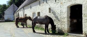 Punto de interés Auderghem - Oudergem - Écuries du site de la ferme du Rouge Cloître - Photo
