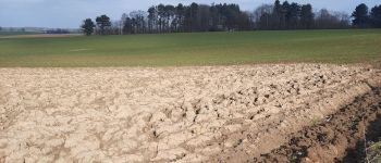 Punto di interesse Villers-la-Ville - Vue sur la campagne, à votre gauche - Photo