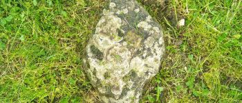 Punto di interesse Vergigny - Unnamed POI - Photo