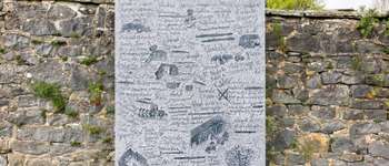 Point d'intérêt Marchin - Vincent Dubois - Photo