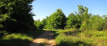 Point d'intérêt Vieux-Moulin - Point 12 - Photo