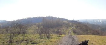 Point d'intérêt Charleroi - Point de vue sur Charleroi et Marchienne - Photo