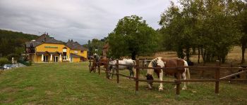 Punto de interés Gœrsdorf - Restaurant Le Palais Gourmand - Photo